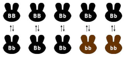 Generation one: 5 pairs of rabbits reproduce, each pairing resulting in 2 offspring.