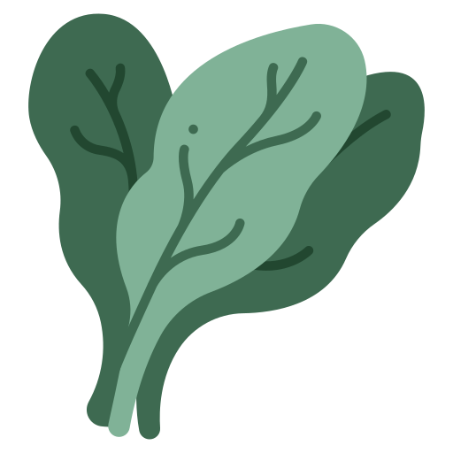 spinach icon
